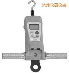 濱州高荷重型 FGC-HB/FGN-HB 系列數(shù)顯推拉力計