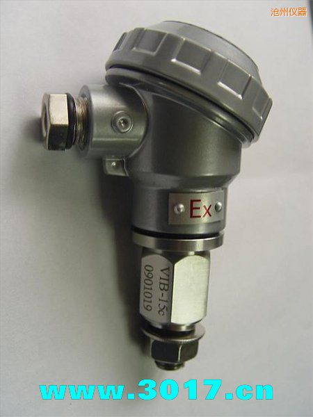 滄州振動(dòng)信號(hào)變送器