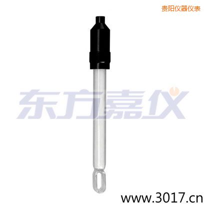 貴陽無溫補兩線電導率電極