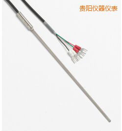 貴陽(yáng)快速響應(yīng)鉑電阻溫度計(jì)