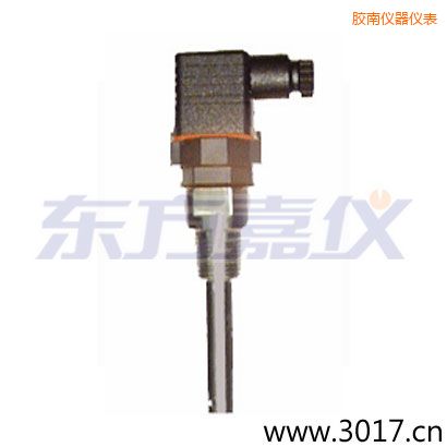 膠南含有溫度的兩線電導(dǎo)率電極