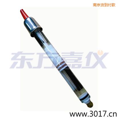 南京玻璃外殼,無溫補(bǔ)雙鹽橋電極