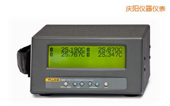 慶陽四通道便攜式測(cè)溫儀