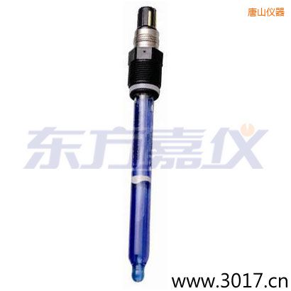 唐山測(cè)純水,超純水 PH電極