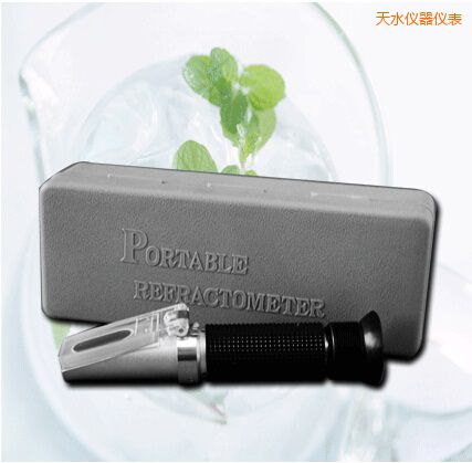 天水手持式食鹽/鹽度快速測(cè)定儀