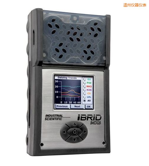 溫州復(fù)合式6氣體檢測儀