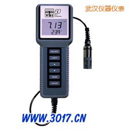 武漢酸度、溫度測量儀