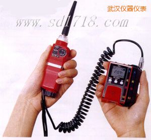 武漢可燃?xì)怏w檢測報(bào)警儀