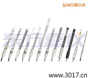 鹽城pH電極